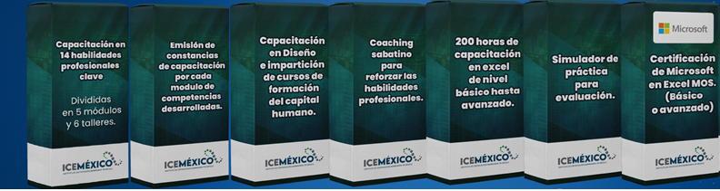 profesional
